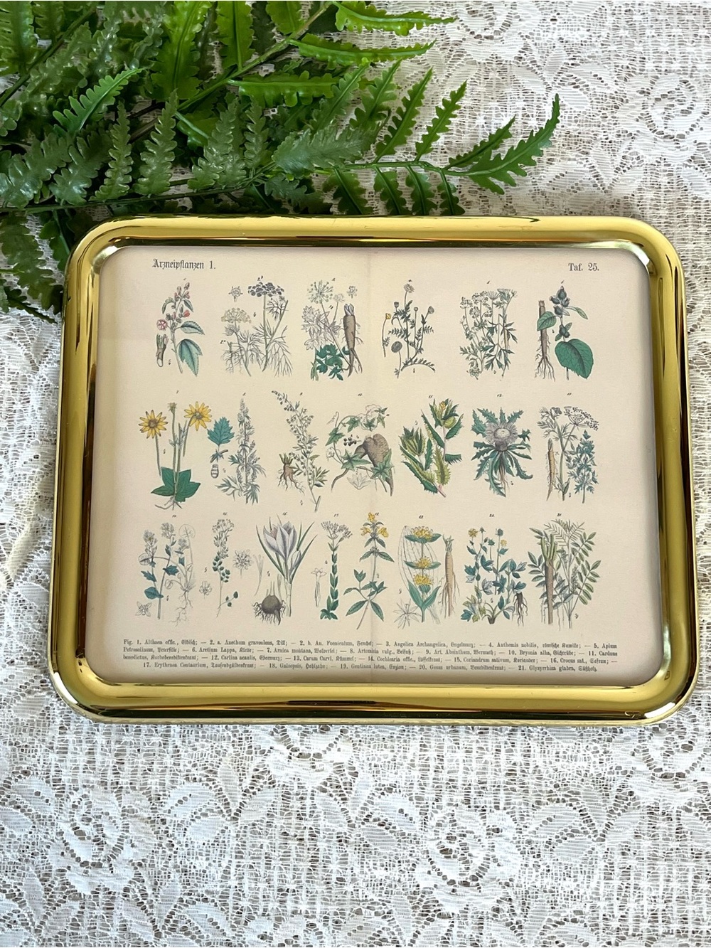Vintage Solid Brass Framed Floral Chart Decor 8x10